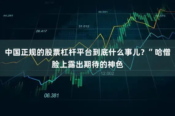 中国正规的股票杠杆平台到底什么事儿？”哈僧脸上露出期待的神色